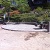 Picnic Area